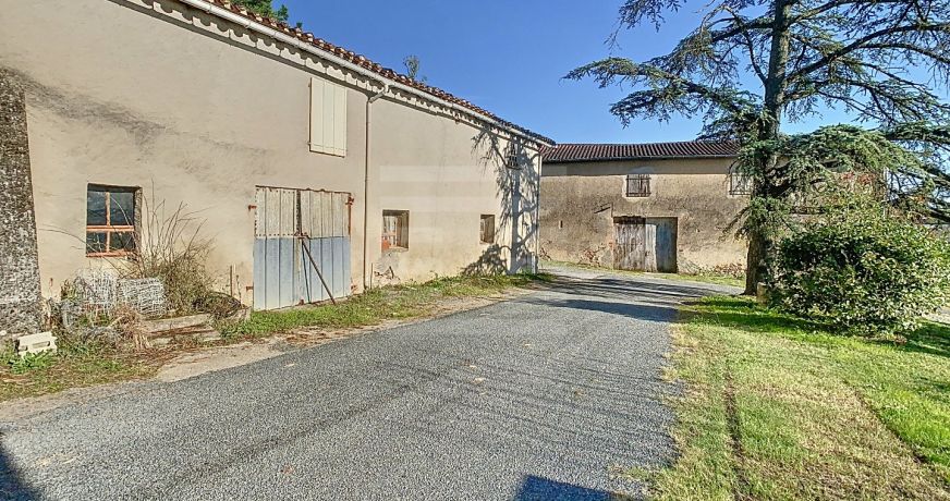 vente Ovins / caprins Albi