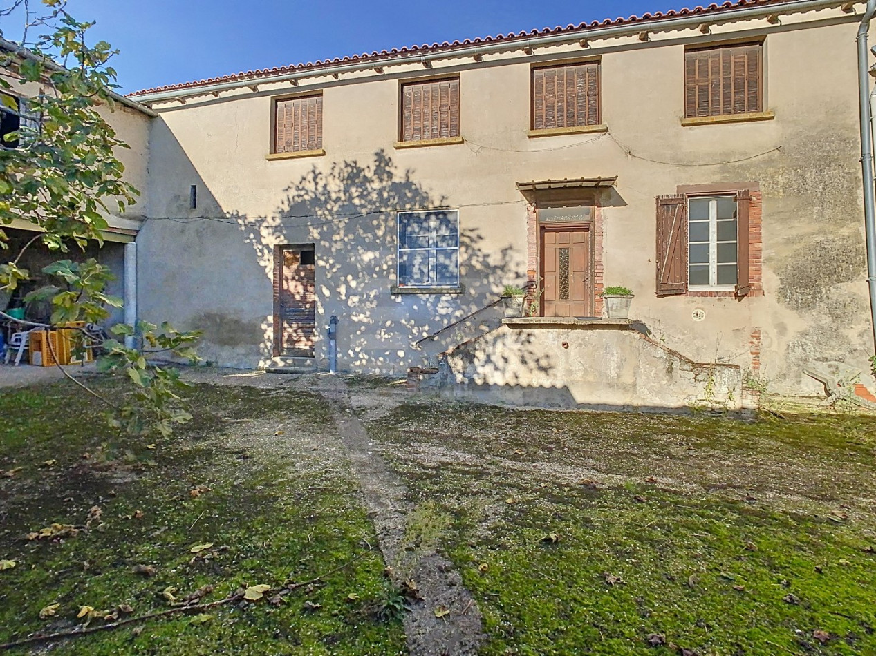 à vendre Ovins / caprins Albi - Photo 16