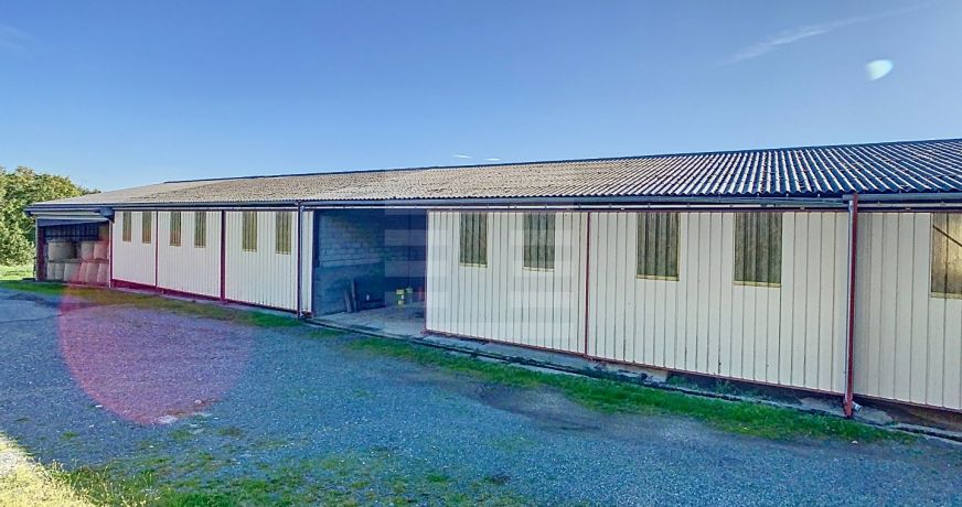 vente Ovins / caprins Albi