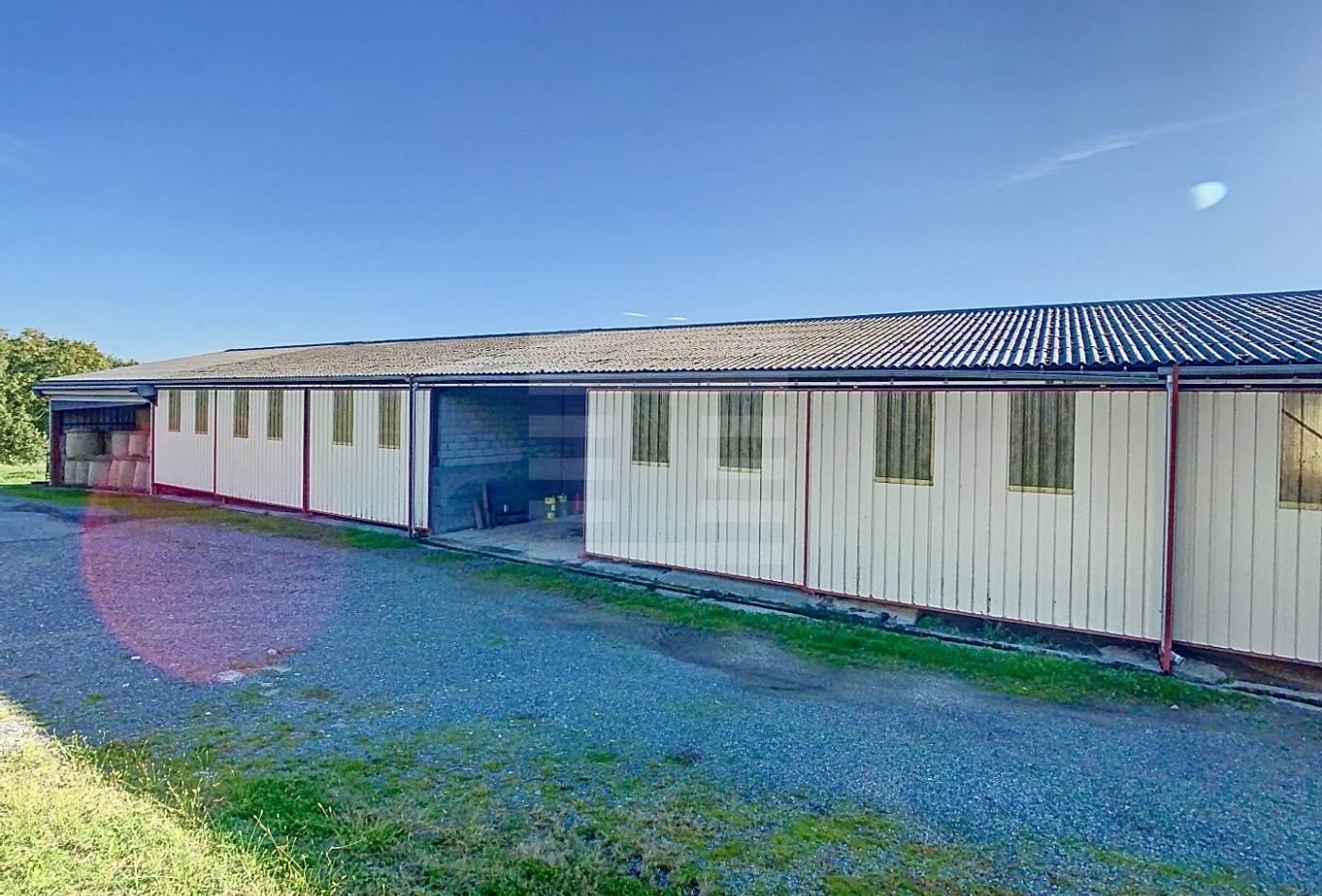 vente Ovins / caprins Albi - Photo 7