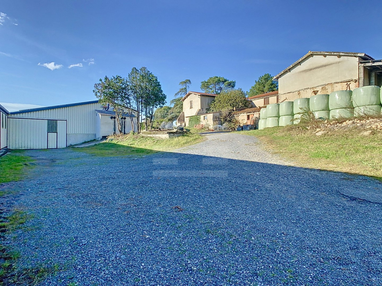 à vendre Ovins / caprins Albi - Photo 14