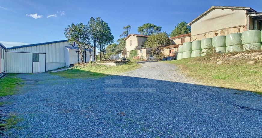 vente Ovins / caprins Albi