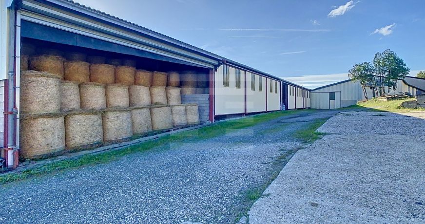 vente Ovins / caprins Albi