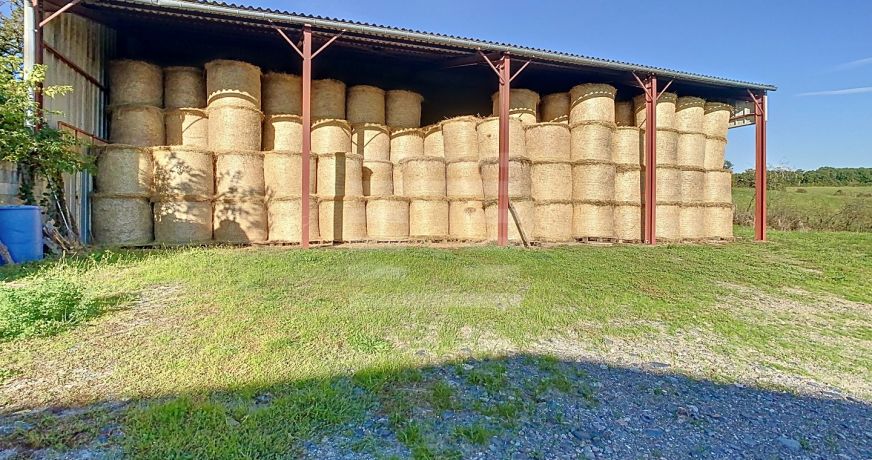 vente Ovins / caprins Albi