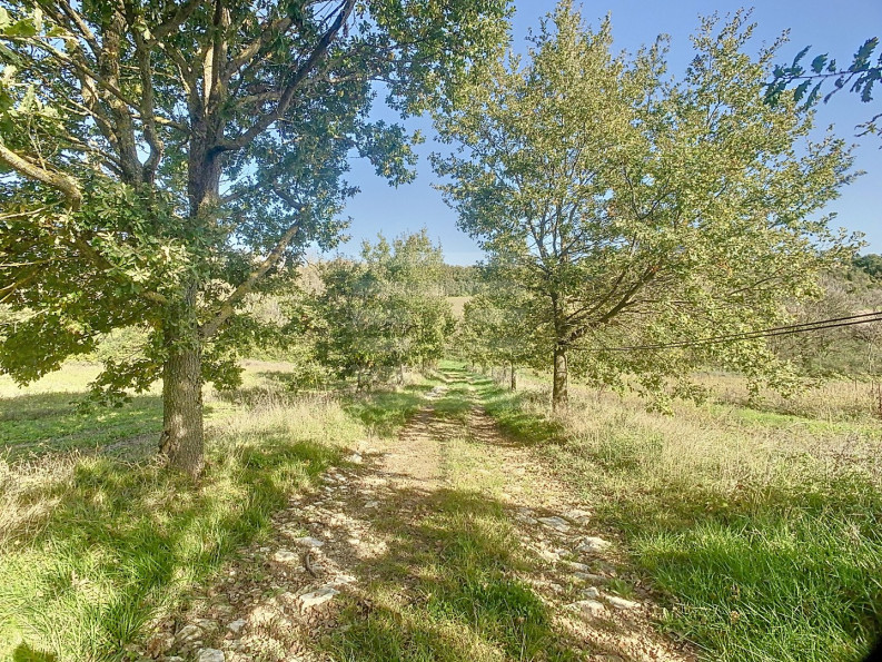 vente Propriété agricole Gaillac - Photo 10