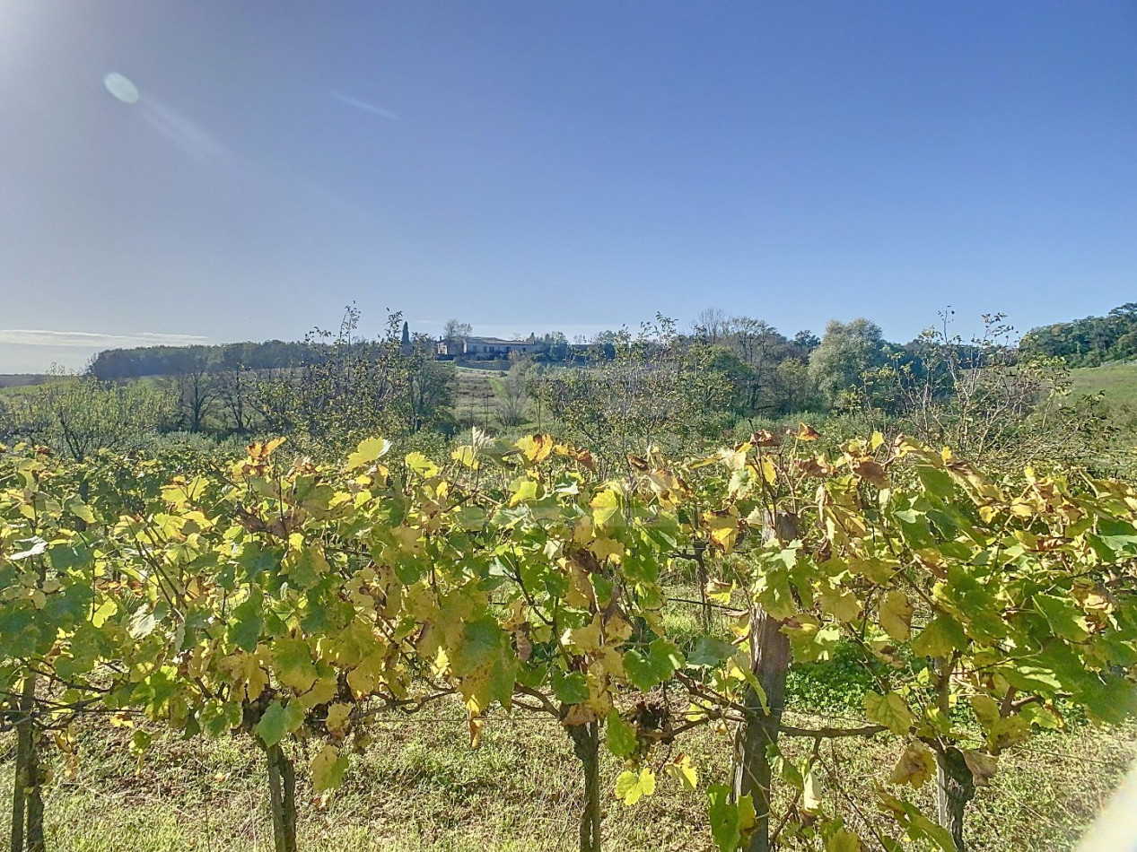 à vendre Propriété agricole Gaillac - Photo 13