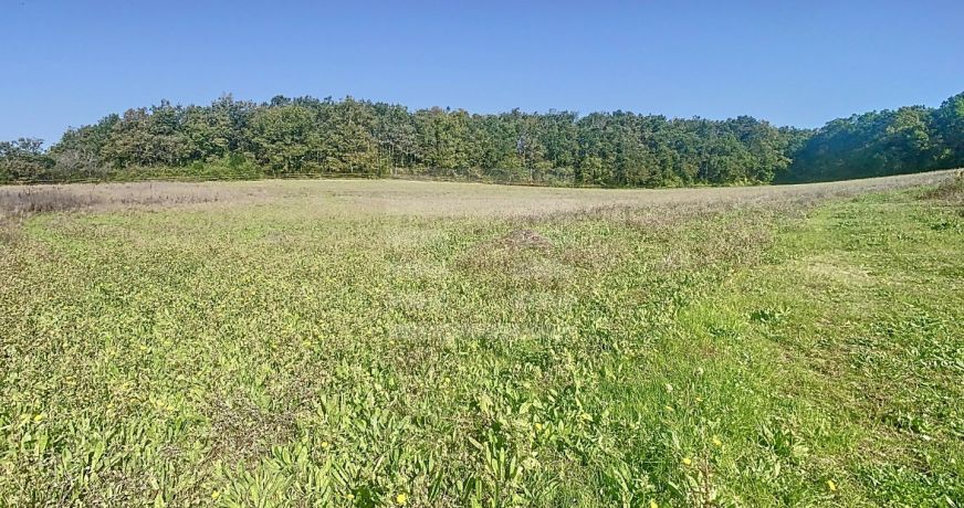 vente Propriété agricole Gaillac