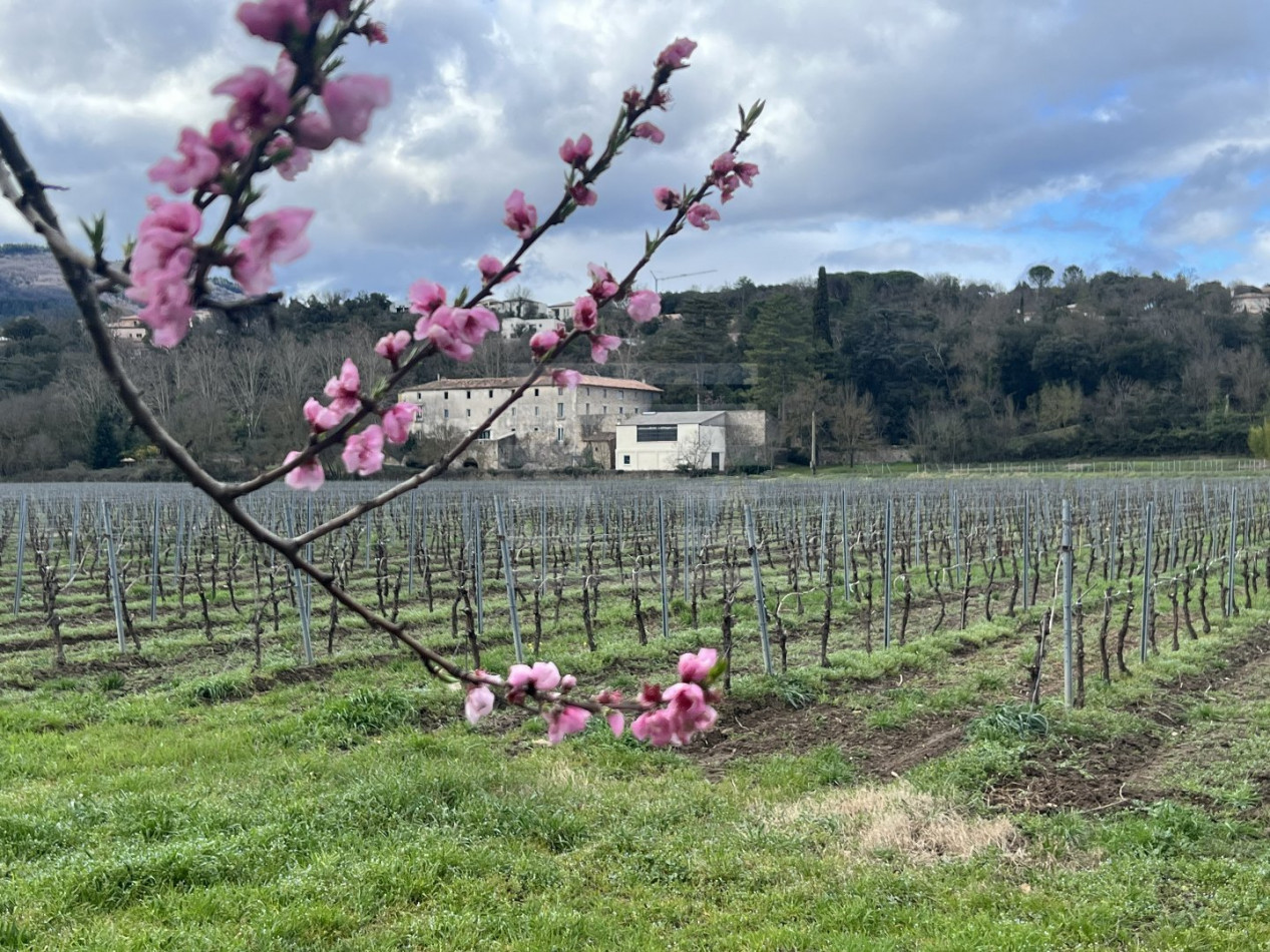 à vendre Propriété Beziers - Photo 4