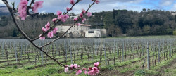 vente Chambre d'hôte Beziers