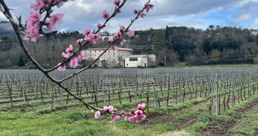 vente Chambre d'hôte Beziers