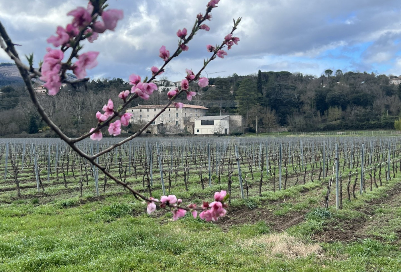 vente Chambre d'hôte Beziers - Photo 4