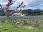 à vendre Propriété Beziers