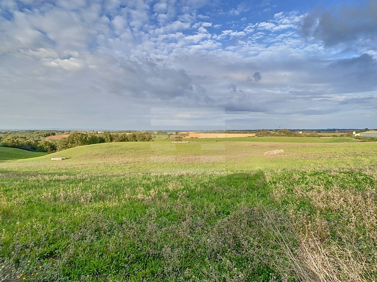à vendre Bovine Albi - Photo 10