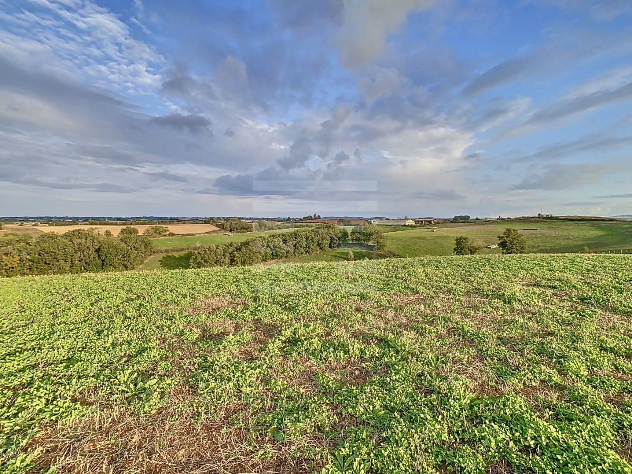 à vendre Bovine Albi - Photo 11