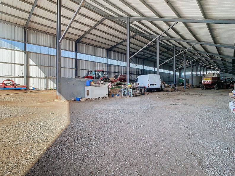 vente Bovine Albi - Photo 5