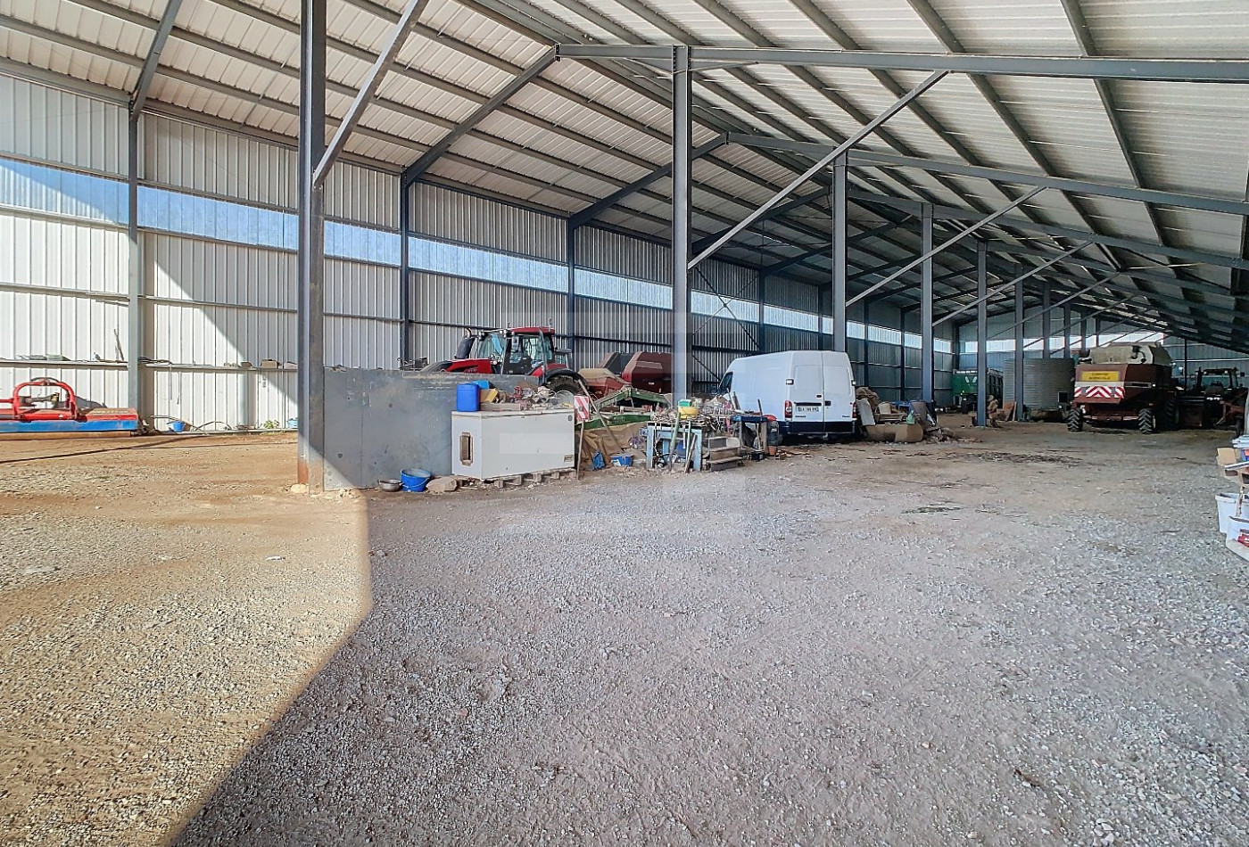 vente Bovine Albi - Photo 5