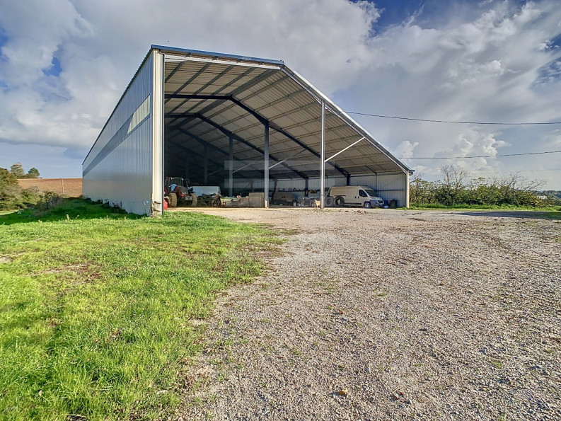 vente Bovine Albi - Photo 6