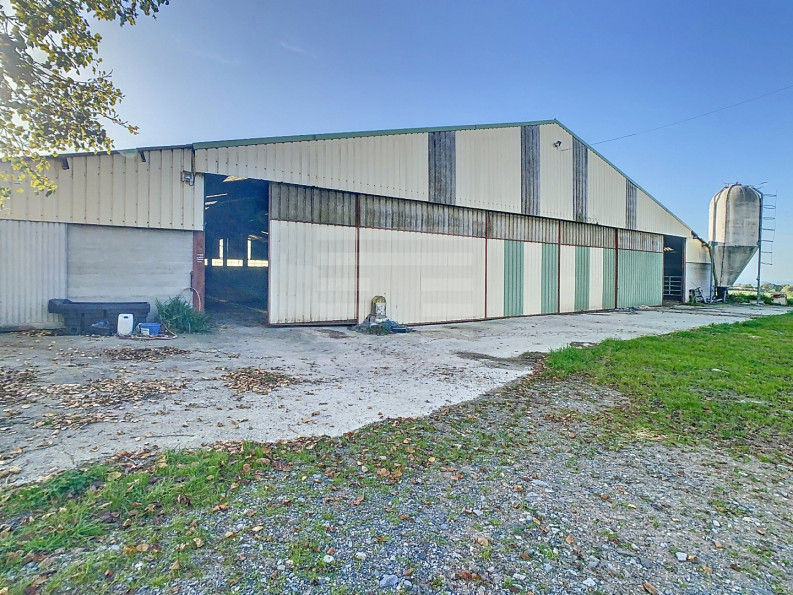 vente Bovine Albi - Photo 4