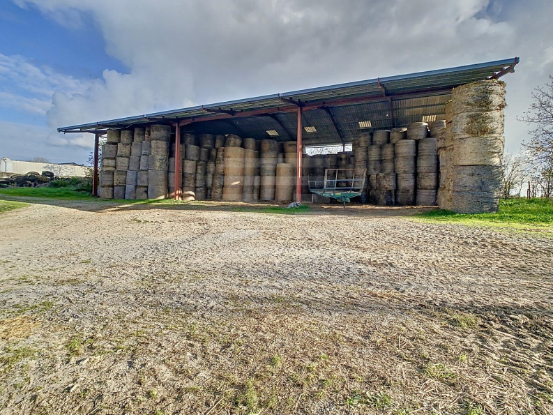 vente Bovine Albi - Photo 7