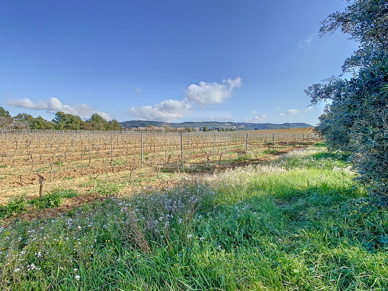 for sale Propriété viticole Lezignan Corbieres - Photo 6