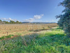 for sale Propriété viticole Lezignan Corbieres