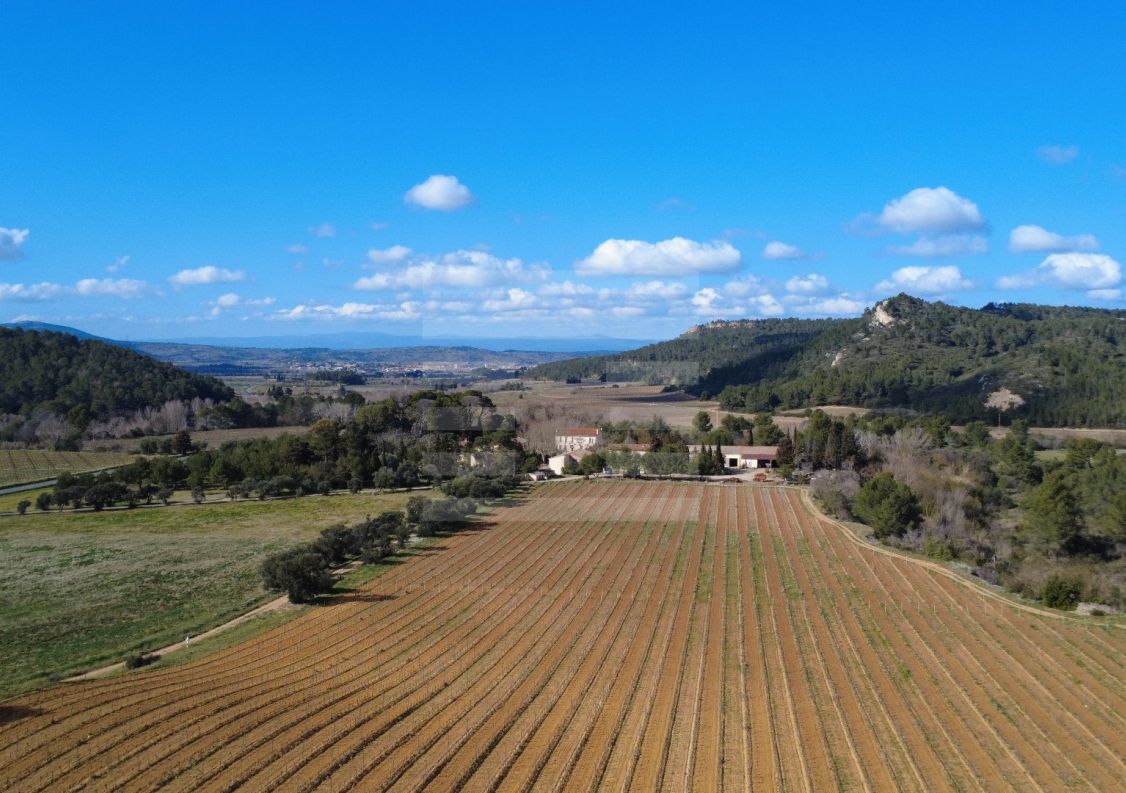 à vendre Propriété viticole Lezignan Corbieres