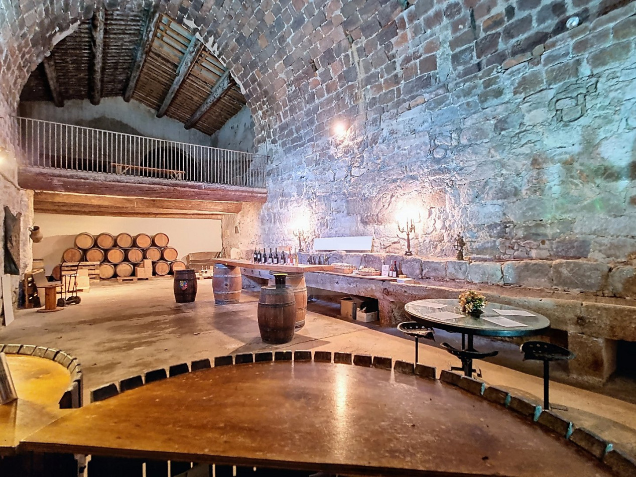 for sale Propriété viticole Lezignan Corbieres - Photo 8