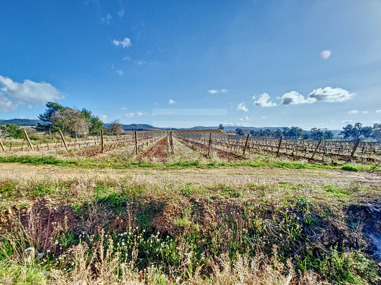 for sale Propriété viticole Lezignan Corbieres - Photo 5