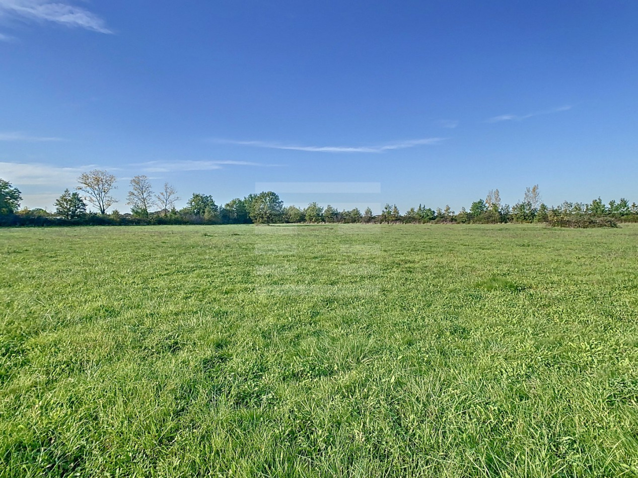 à vendre Demeure Montauban - Photo 12