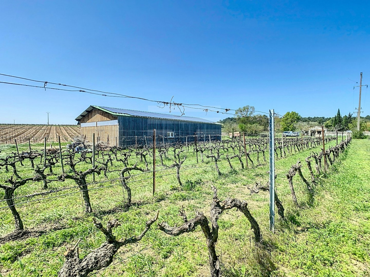 à vendre Propriété viticole Carcassonne - Photo 4