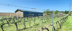 vente Propriété viticole Carcassonne