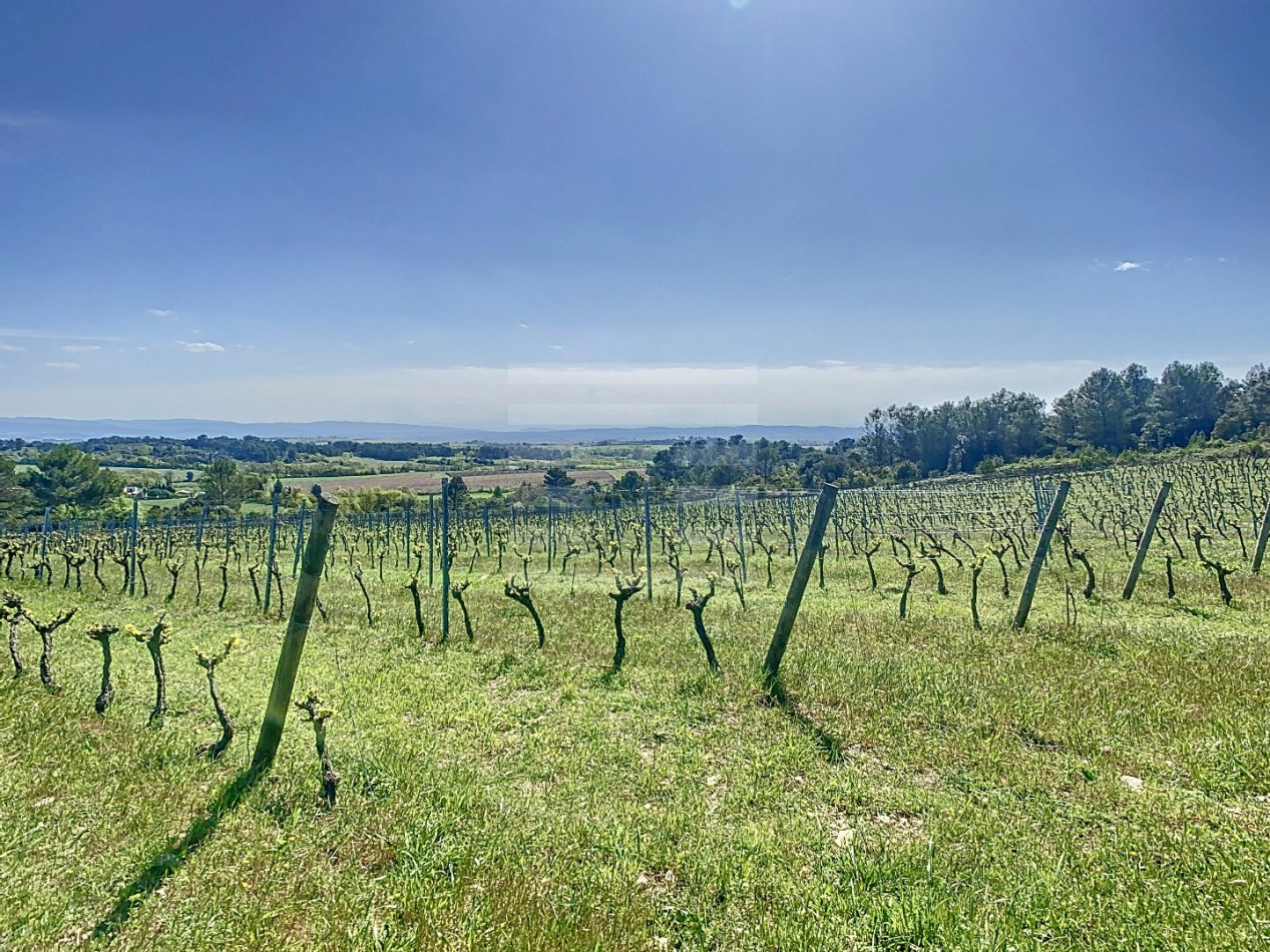 à vendre Propriété viticole Carcassonne - Photo 2