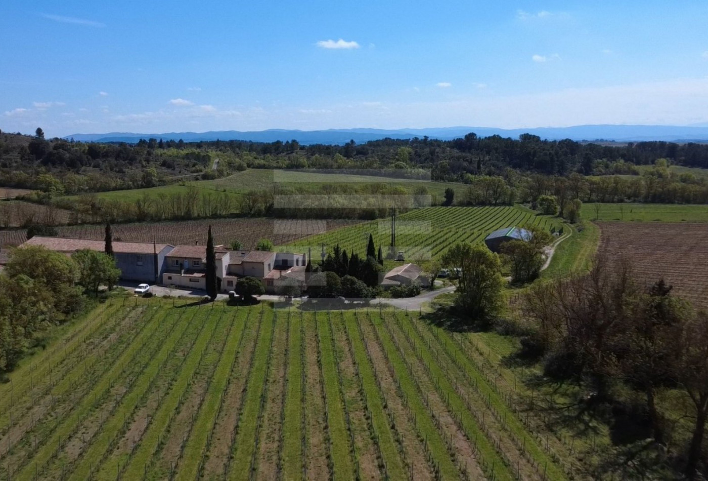 vente Propriété viticole Carcassonne - Photo 1