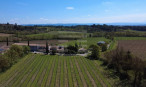 à vendre Propriété viticole Carcassonne