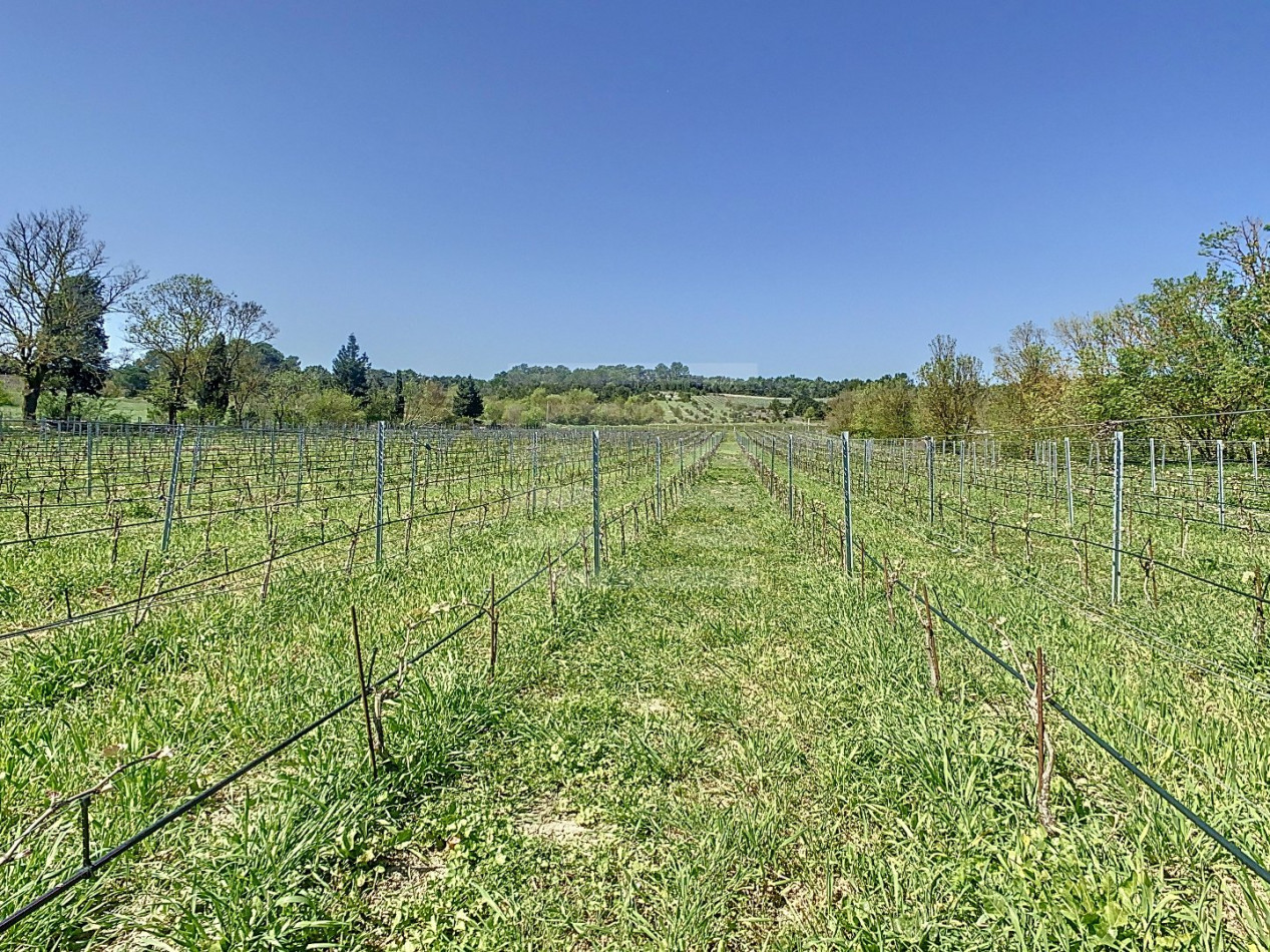 à vendre Propriété viticole Carcassonne - Photo 3