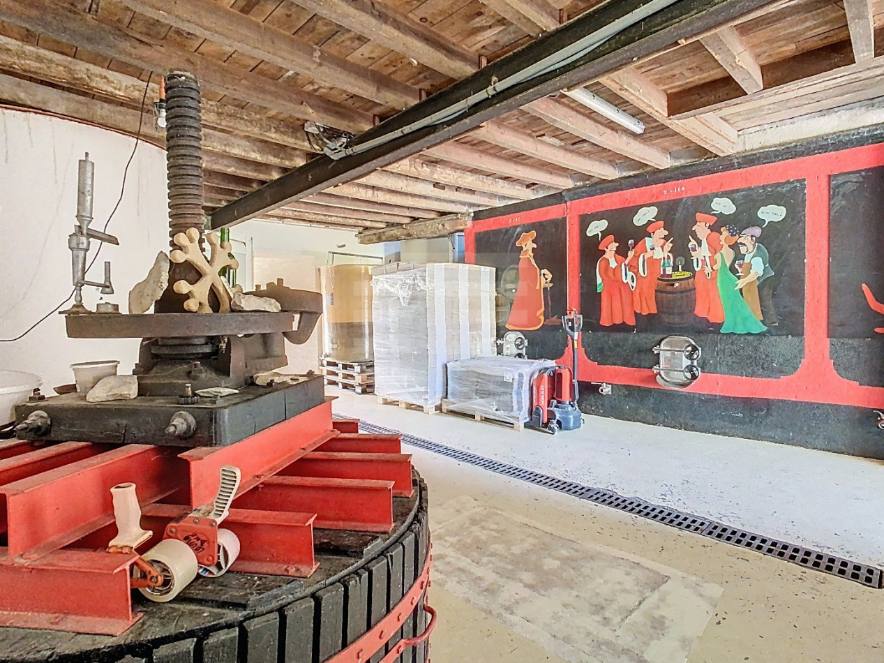 à vendre Propriété viticole Carcassonne - Photo 7