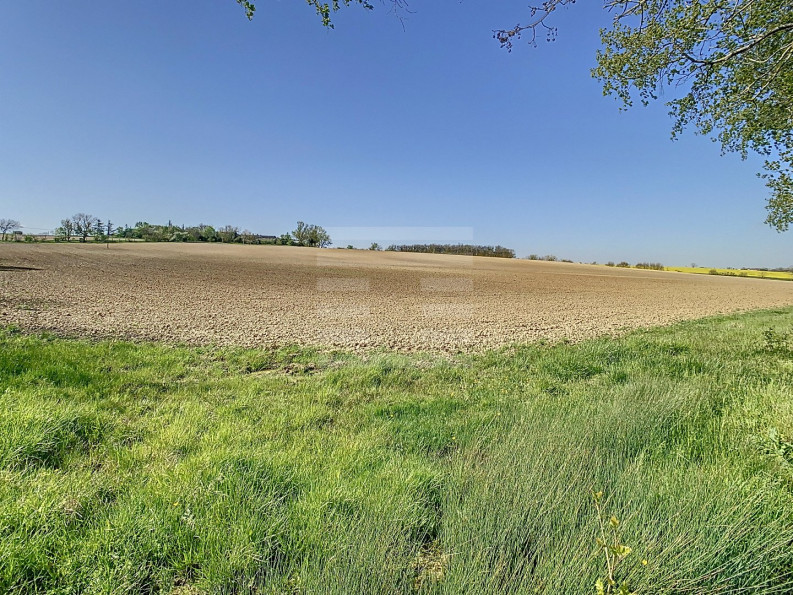 vente Terrain agricole Saint Felix Lauragais - Photo 2