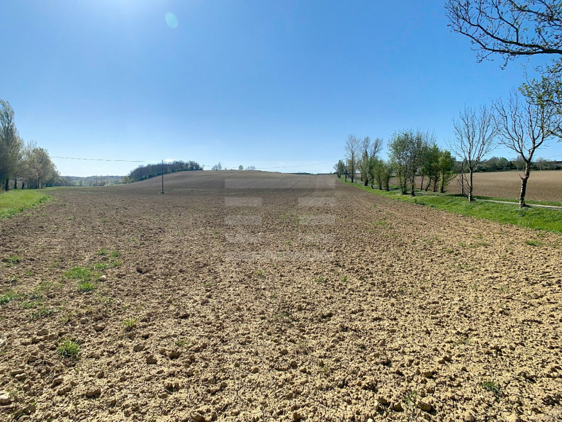 vente Terrain agricole Saint Felix Lauragais - Photo 4