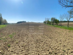 à vendre Terrain agricole Saint Felix Lauragais