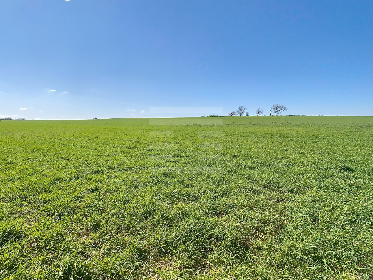 à vendre Terrain agricole Saint Felix Lauragais - Photo 3