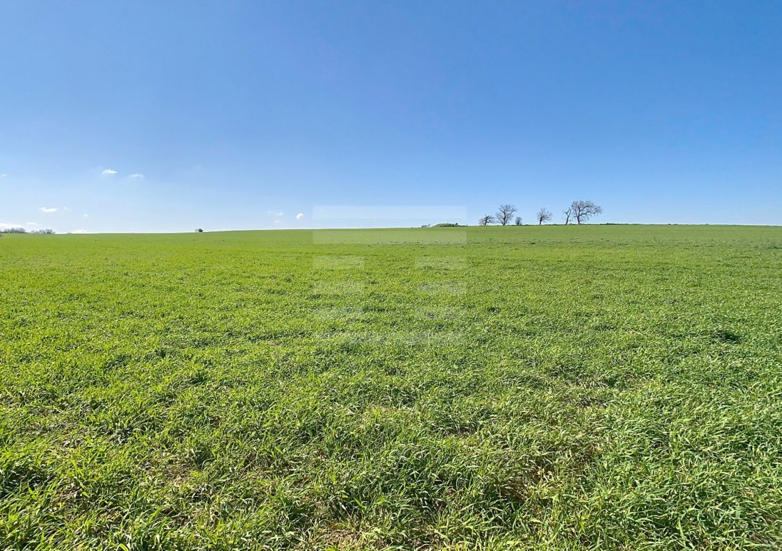 à vendre Terrain agricole Saint Felix Lauragais