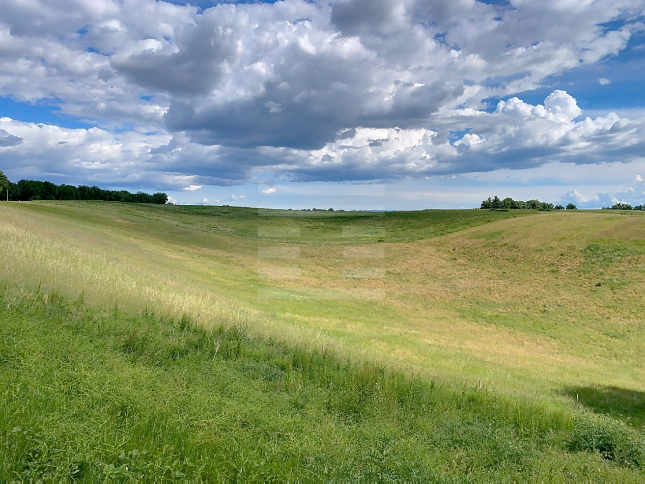 for sale Propriété Puylaurens - Photo 17