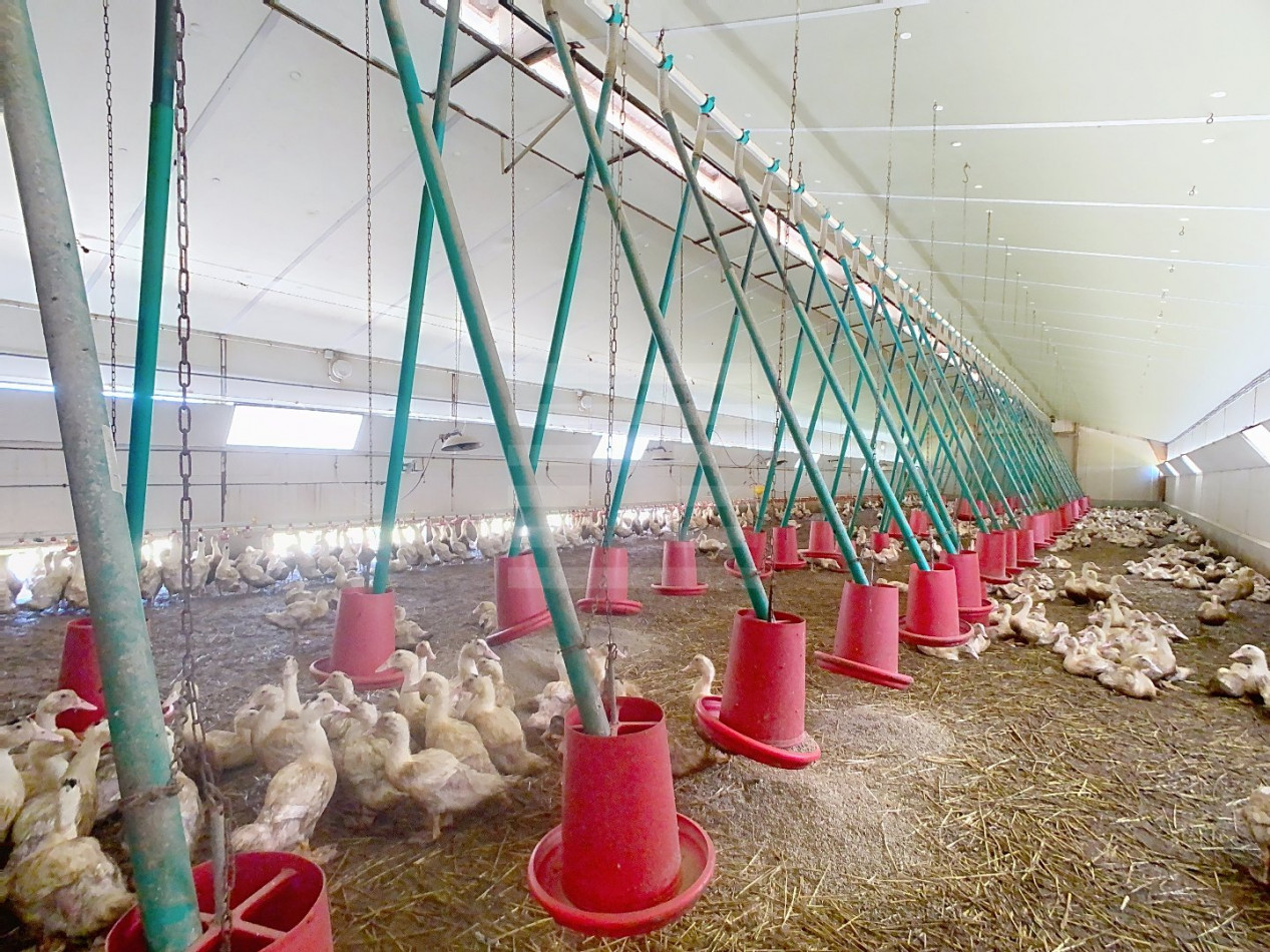 à vendre Propriété agricole Auch - Photo 11