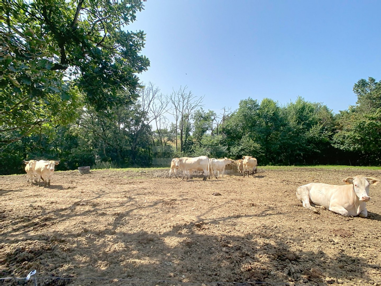 à vendre Propriété agricole Auch - Photo 14