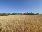 à vendre Propriété Cordes-sur-ciel