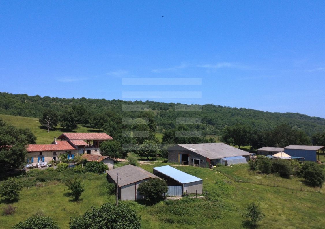 à vendre Domaine Camarade