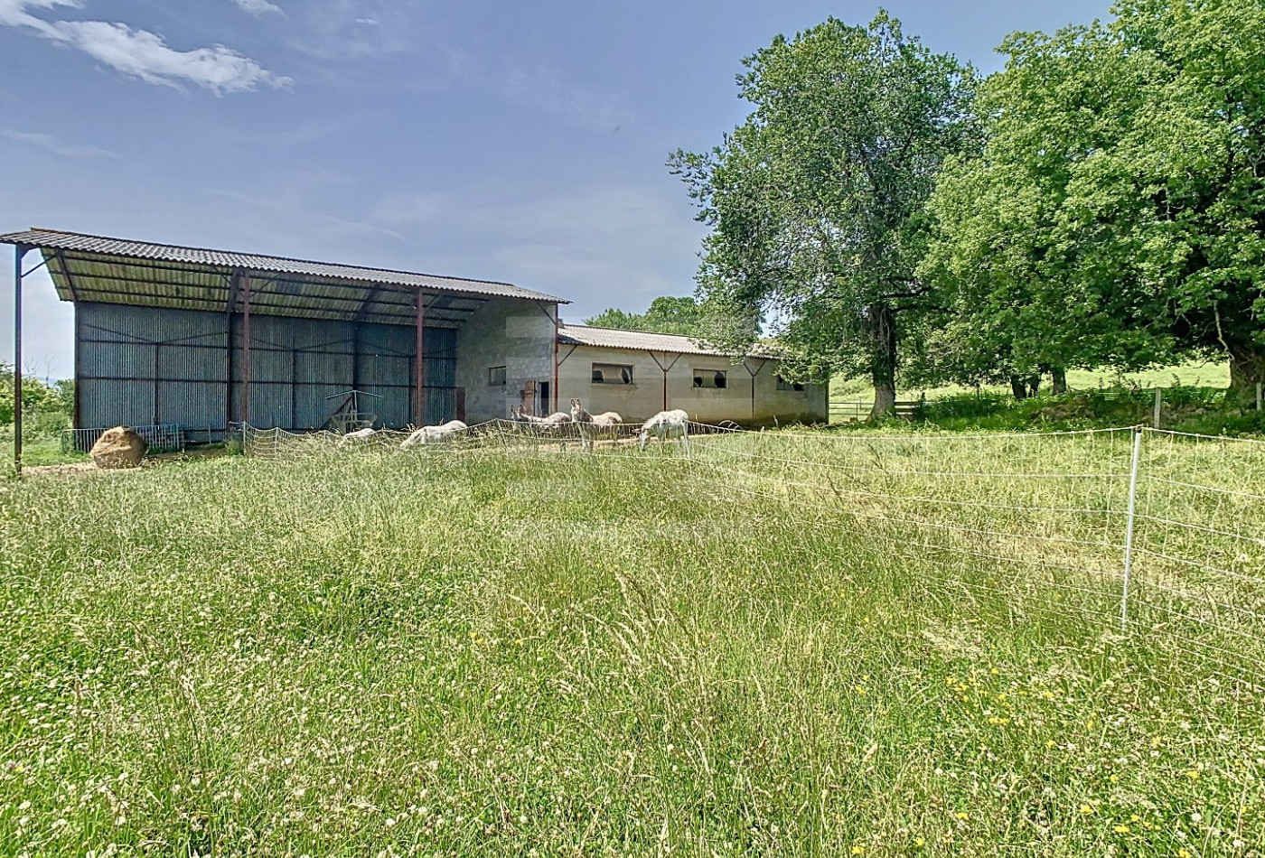 vente Domaine Camarade - Photo 10