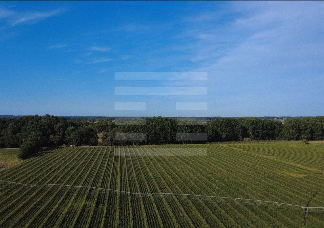 à vendre Propriété agricole Negrepelisse