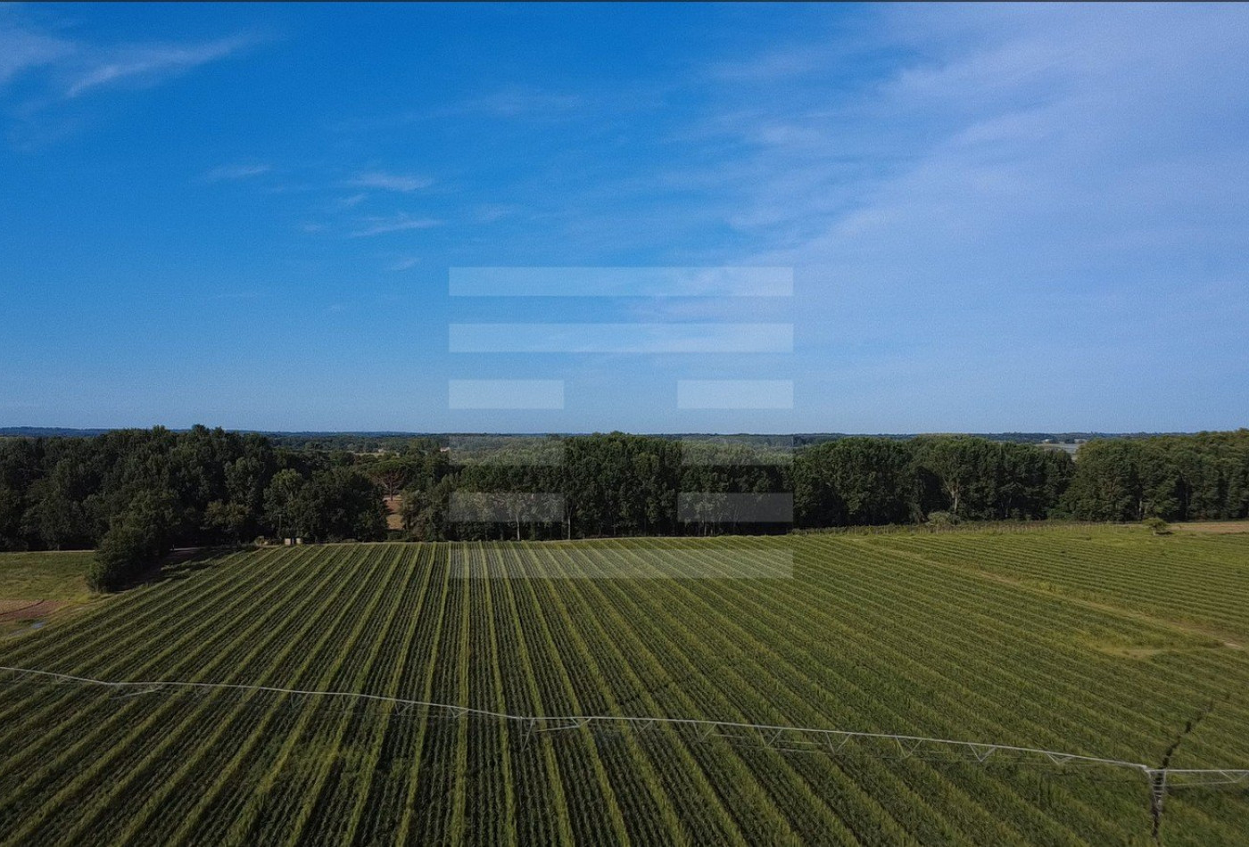 vente Propriété agricole Negrepelisse - Photo 1