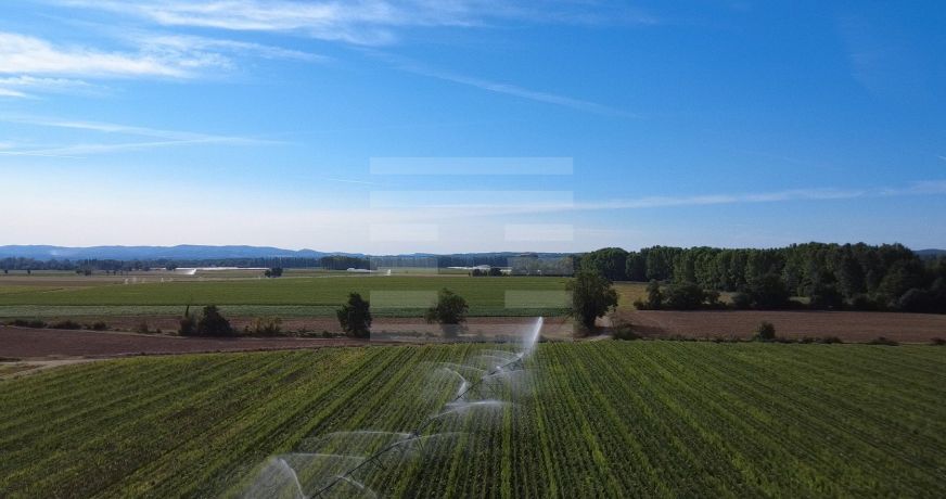 vente Propriété agricole Negrepelisse